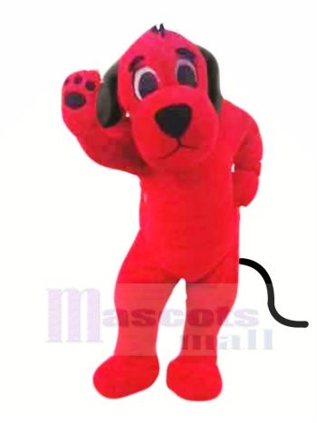 rot Hund mit Schwarz Ohren Maskottchen Kostüm Hochschule