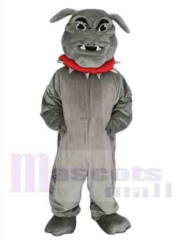 Bulldogge maskottchen kostüm