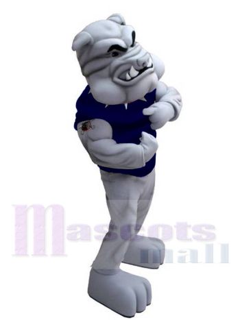 Bulldogge maskottchen kostüm