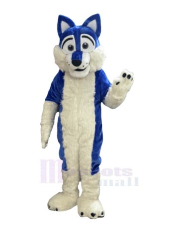 Blau Langhaar Wolf Maskottchen Kostüm Tier
