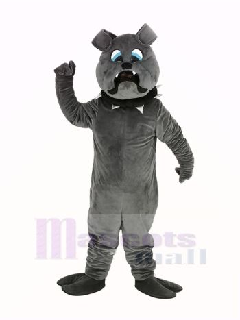 Heftig Grau Bulldogge Maskottchen Kostüm
