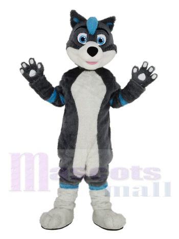 Komisch Blau und Grau Husky Hund mit Blau Augen Maskottchen Kostüm