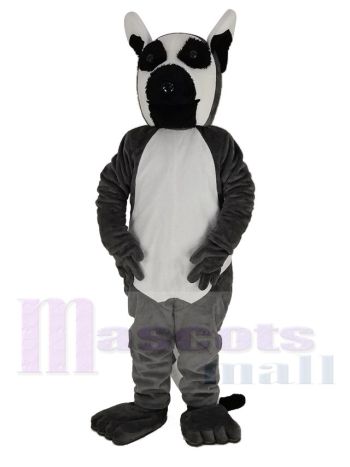 Lange Schwanz Lemur Maskottchen Kostüm Tier