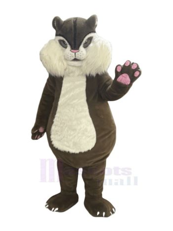 Hochwertige Eichhörnchen-Maskottchen-Kostüme für Erwachsene