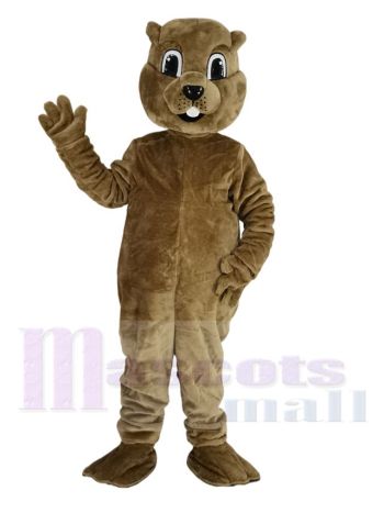 Braun Murmeltier Maskottchen Kostüm Tier