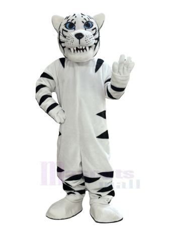 Scharfe Zähne Weiß Tiger Maskottchen Kostümtier