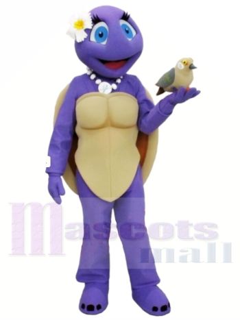 Weibliche Schildkröte Maskottchen Kostüme