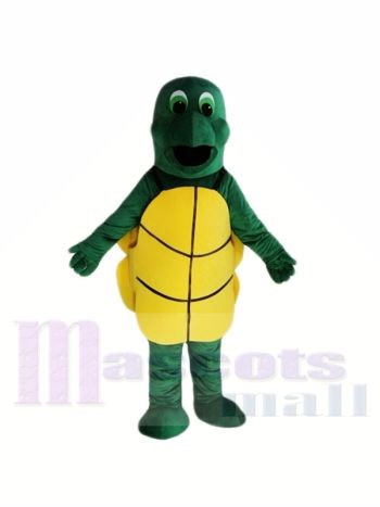 Kleine grüne Schildkröte Maskottchen Kostüme