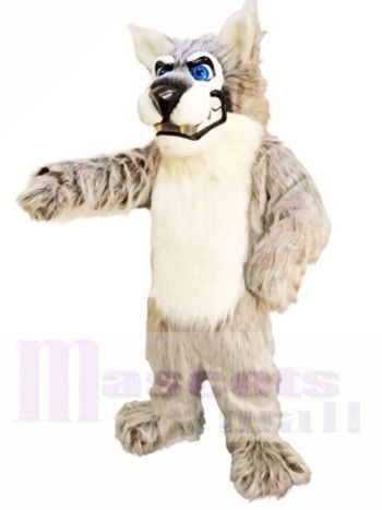 Leitwolf Maskottchen Kostüme