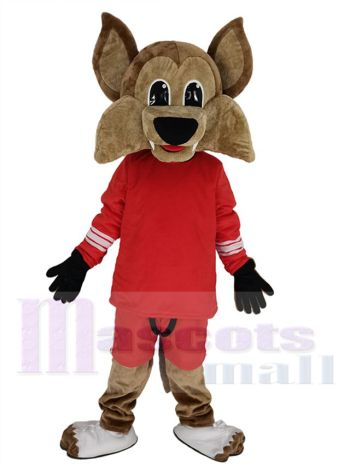 Kojote maskottchen kostüm