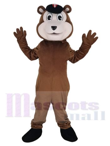 Bär maskottchen kostüm
