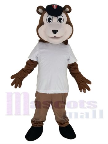 Bär maskottchen kostüm