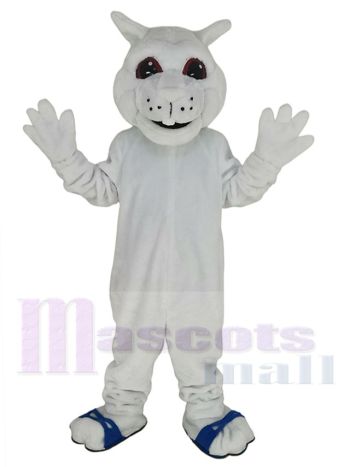 Eichhörnchen maskottchen kostüm