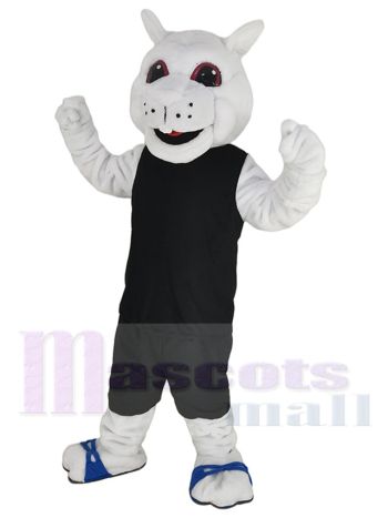 Eichhörnchen maskottchen kostüm
