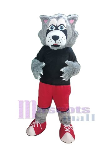 Wolf maskottchen kostüm