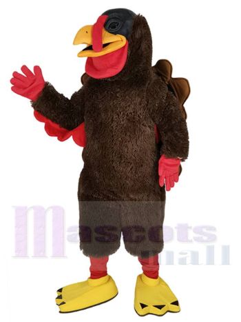 Truthahn costume de mascotte