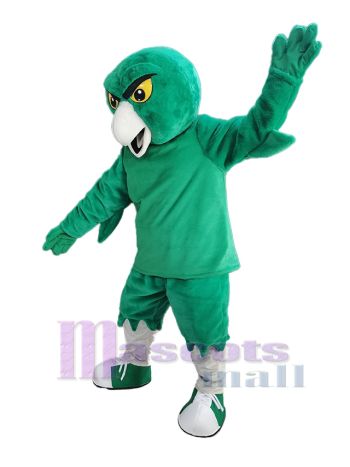 Eule maskottchen kostüm