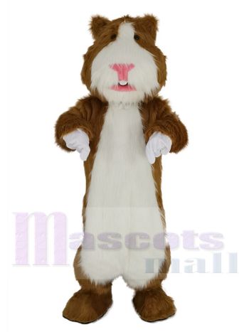 Hamster maskottchen kostüm