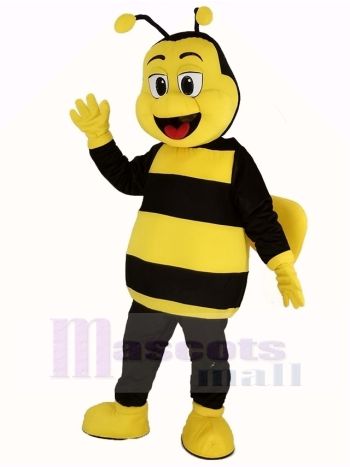 glücklich Biene Maskottchen Kostüm