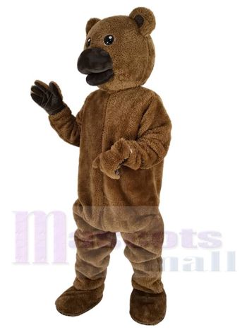 Bär maskottchen kostüm