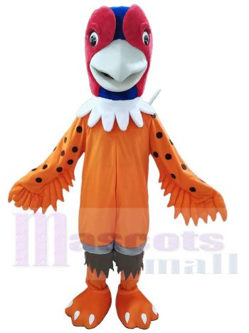 Fasan Maskottchenkostüm