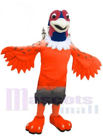 Fasan Maskottchenkostüm