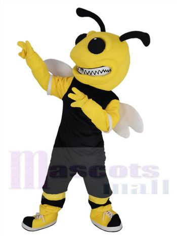 Hummel Biene maskottchen kostüm