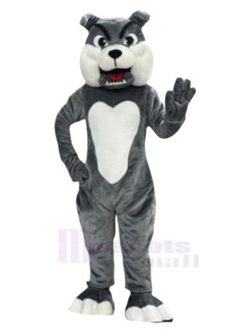 Hund maskottchen kostüm