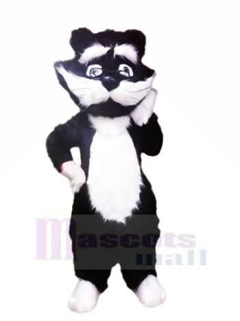 Weiß und Schwarz Traurig Katze Maskottchen Kostüme Karikatur