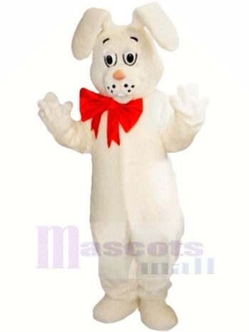 Weiß Leicht Hase Maskottchen Kostüme Karikatur