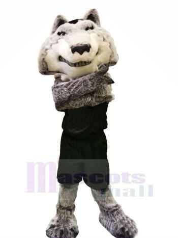 Hochschule Sport Wolf Maskottchen Kostüme Karikatur