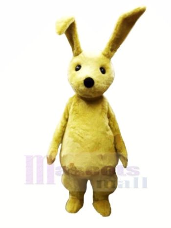 Jung Hase mit Lange Ohren Maskottchen Kostüme Karikatur