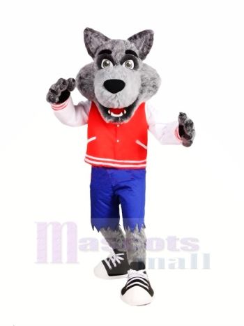 Hochschule Wolf Maskottchen Kostüme Karikatur