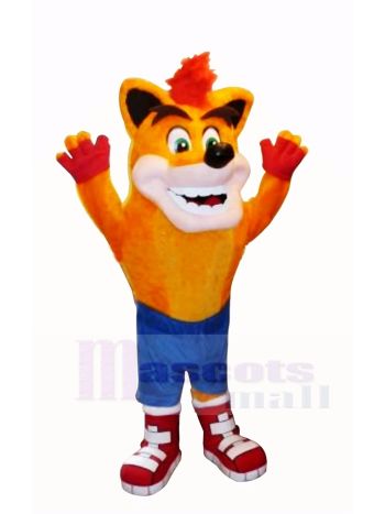Absturz Bandicoot Wolf Maskottchen Kostüm Karikatur