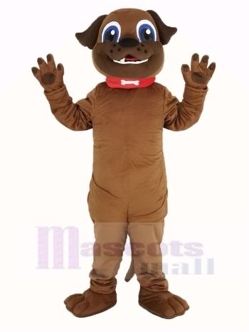 Braun Hündchen Hund Maskottchen Kostüm