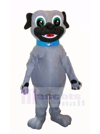Grau Hündchen Hund Maskottchen Kostüm Karikatur