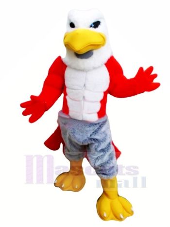 Freundlich Muskel Falke Maskottchen Kostüm Karikatur