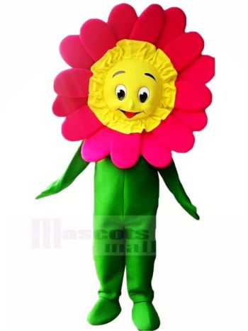 Hoch Qualität Sonnenblume Maskottchen Kostüm Karikatur
