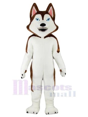Hund maskottchen kostüm