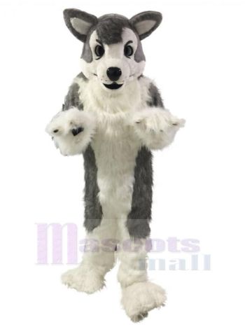 Hund maskottchen kostüm