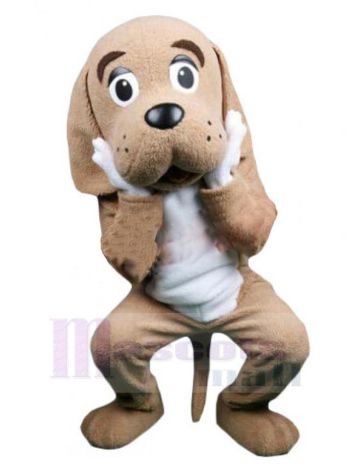Hund maskottchen kostüm