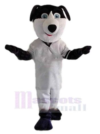 Hund maskottchen kostüm