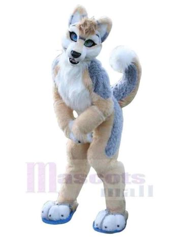 Hund maskottchen kostüm