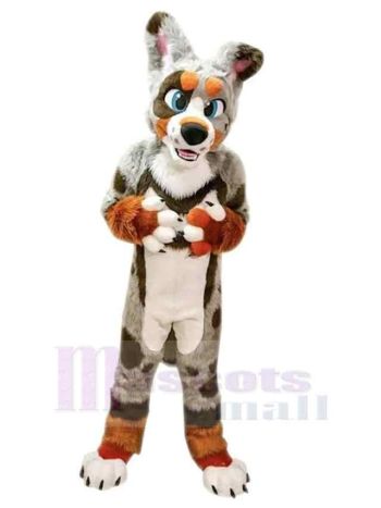 Hund maskottchen kostüm