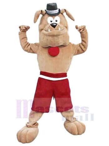 Hund maskottchen kostüm