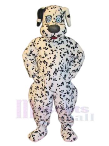 Hund maskottchen kostüm