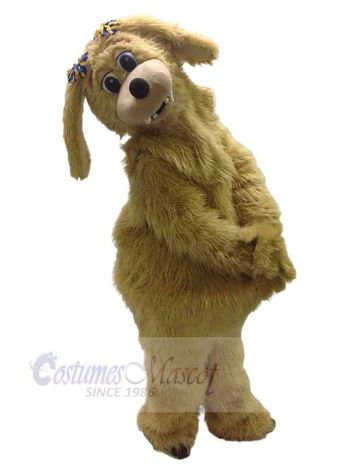 Hund maskottchen kostüm