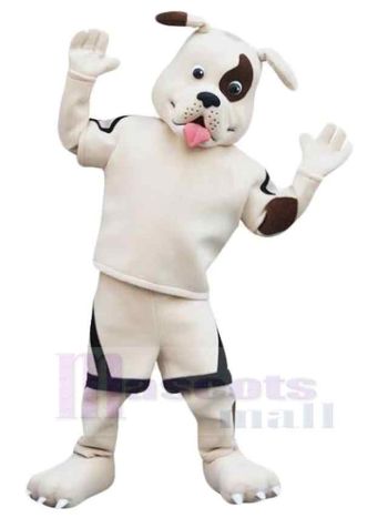 Hund maskottchen kostüm