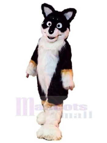 Hund maskottchen kostüm