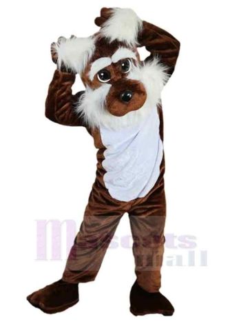 Hund maskottchen kostüm